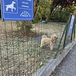 Hotel Ristorante Brusco 3*